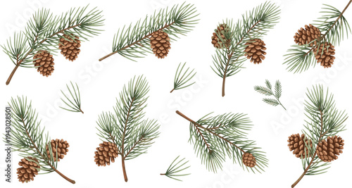 Seamless Pattern with Pine Tree Branches and Pinecones on Transparent Background, Natural Forest Botanical Texture for Winter Holiday Designs, Wrapping Paper, and Decorative Prints