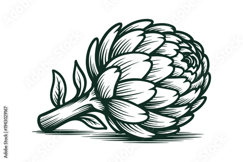 An artichoke vector illustration in a simple black and white style