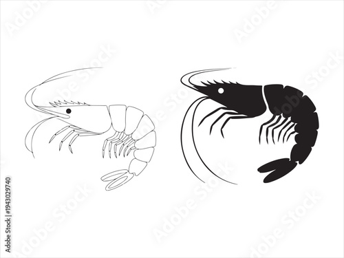 Shrimp icon set different style black and outline, Hand drawn shrimp or prawn vector set, showing seafood vector illustration