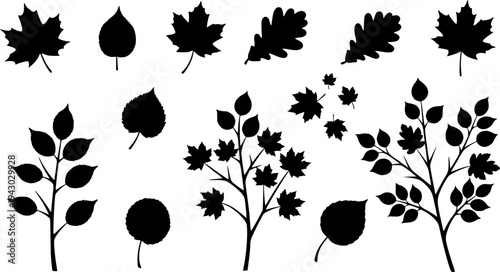 Set of Minimalist black coffee plant with berries and beans silhouette vector icon
