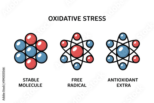 Oxidative stress vector illustration with stable molecule and free radical