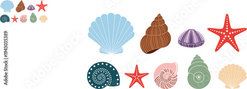 Colorful sea shells and starfish collection marine ocean beach summer tropical nature decorative flat vector illustration set