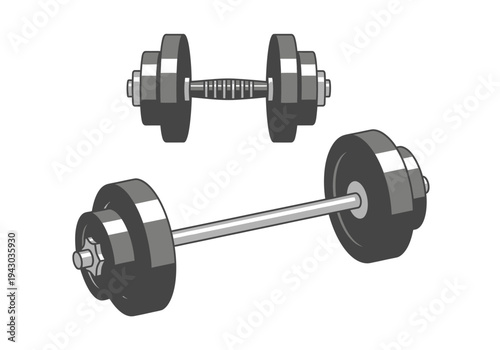 Illustration of a dumbbell and a barbell with black and gray weights