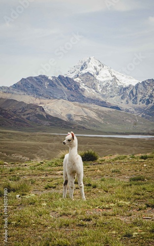 Foto Huayna Potosi, La Paz, Bolívia