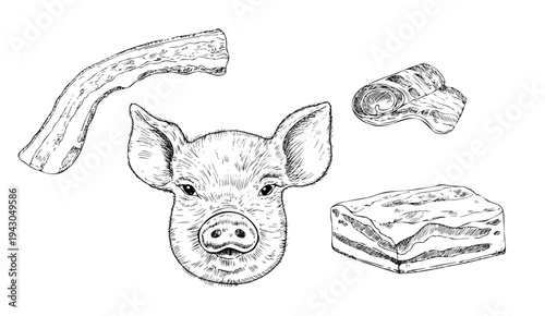 Vector set with pig head, Bacon Strip, lard. Graphic ink Pork belly meat illustration, isolated on background. Hand drawn line sketch. For designers, prints, logo, icon, menu, postcards, holiday