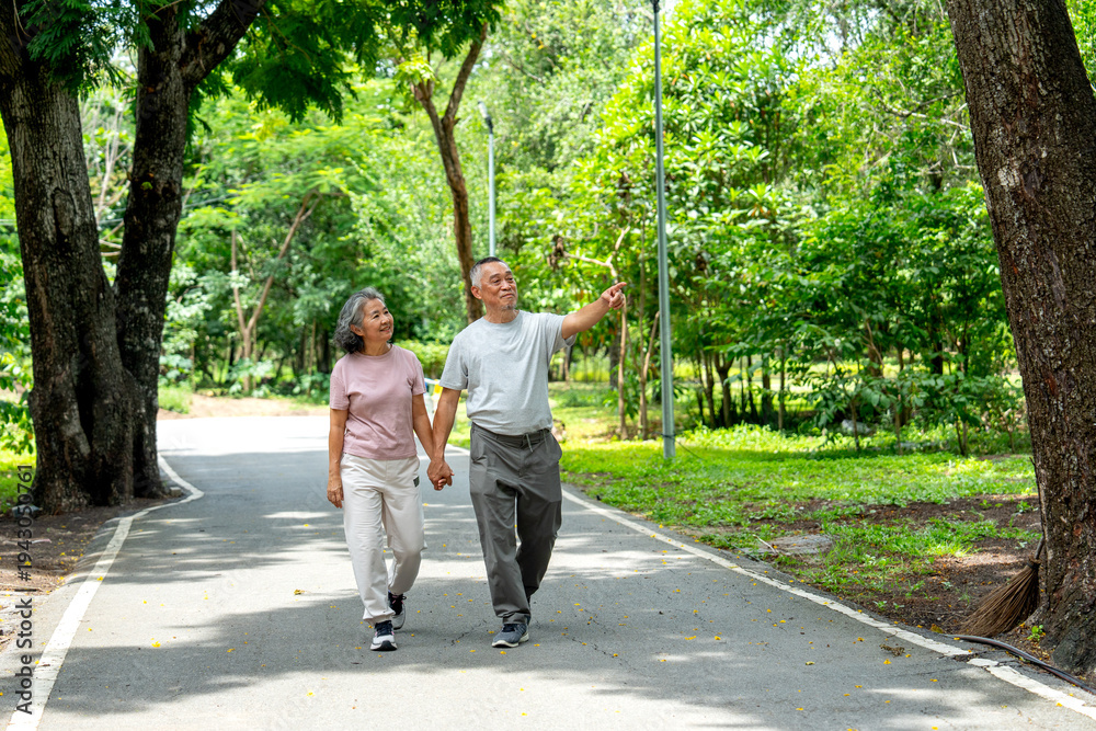 Fototapeta premium Front view of Asian senior man hold hands of senior woman and point forward also walk along the road in public park with happiness during exercise and relax together.
