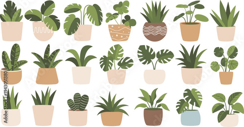 Indoor house plants collection in decorative pots with tropical foliage home gardening greenery and botanical decor vector illustration set