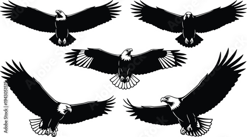 Flying eagle silhouettes collection spread wings predatory bird wildlife mascot emblem tattoo raptor illustration black design set