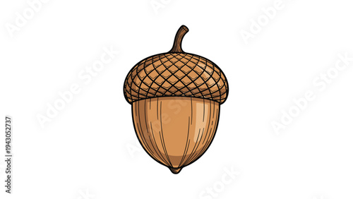 Perfectly detailed brown acorn with a textured cap, representing nature, autumn, growth, and the potential of an oak tree.