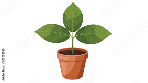 Potted plant illustration depicting growth and nature in a terracotta pot, perfect for gardening, environment, and botanical themes.