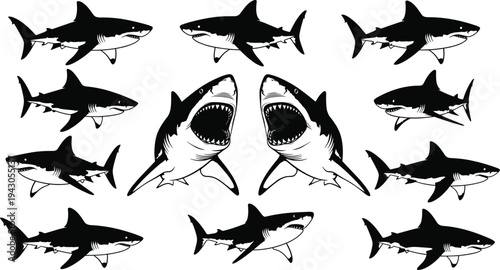 Black and white silhouette vector collection of predatory great white sharks with open jaws and swimming poses for marine design.Black and white silhouette vector collection of predatory great white s