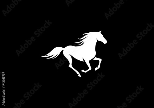 Silhouette of rearing horse prancing on hind legs against black background