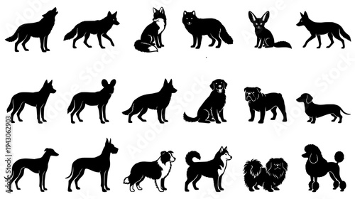 Black Silhouettes Collection of Various Canine Species Including Wolves Foxes and Domestic Dog Breeds