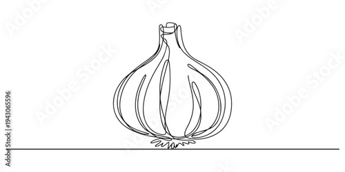 Continuous one line drawing of garlic. Vector graphic illustration with one line drawing. Continuous line drawing of garlic bulb with one clove. Simple garlic one line drawing.