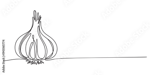 Continuous one line drawing of garlic. Vector graphic illustration with one line drawing. Continuous line drawing of garlic bulb with one clove. Simple garlic one line drawing.