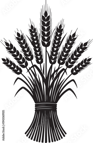 Tied Bunch of Wheat Stalks in Black and White