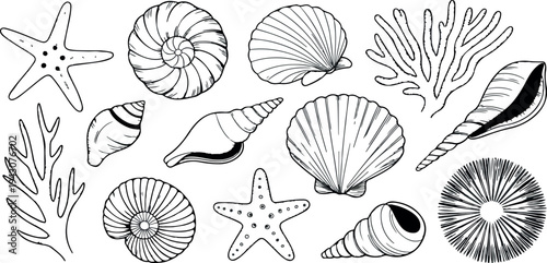 Hand drawn seashells starfish coral and marine elements collection vintage engraving style detailed ocean nature vector illustration set