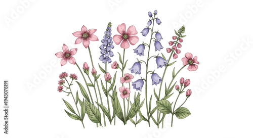 Beautiful cluster of various wildflowers including bellflowers and poppies in shades of pink, purple, and blue with green leaves.