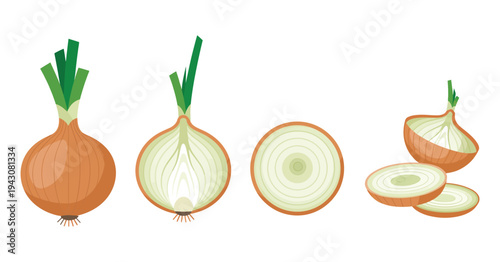 onion icons set, onion bulb with peel half and rings, yellow head with green sprout and slices for cooking ingredients spices and organic food, vector illustration isolated on white background.
