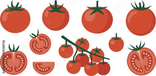 Fresh red tomatoes collection with whole sliced and cherry tomatoes isolated flat vector illustration of healthy vegetables set