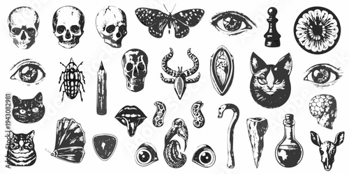 An assortment of dark gothic illustrations including skulls eyes and animals