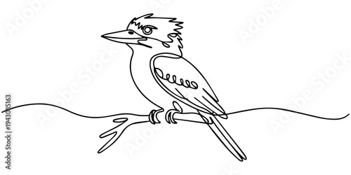 Kookaburra on a Branch: A minimalist outline of a kookaburra perched serenely on a tree branch, embodying the simplicity and elegance of nature.