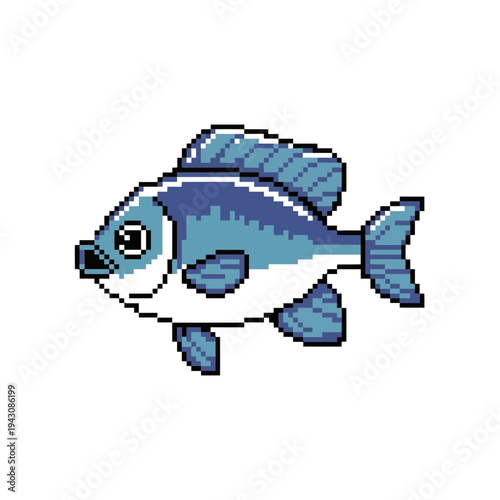 A blue fish pixel art illustration with white belly and fins