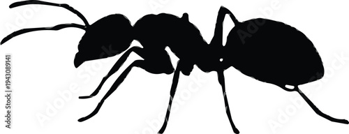 Black silhouette illustration of ant insect in profile view with detailed anatomy including head, antennae, thorax, abdomen, and six legs isolated on white background