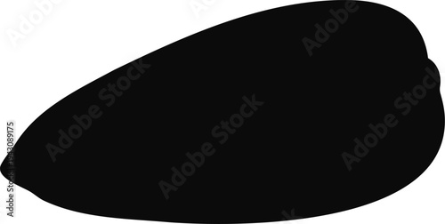 Sun flower seed silhouette vector flat illustration design.