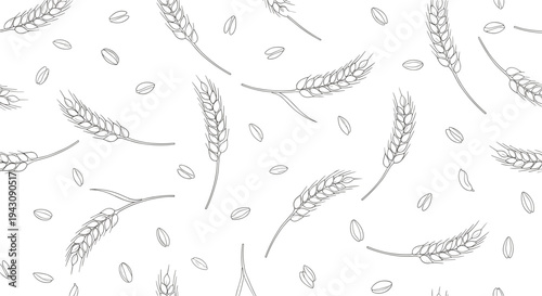 Seamless vector pattern featuring hand drawn sketches of organic wheat ears and grains on a clean white background.