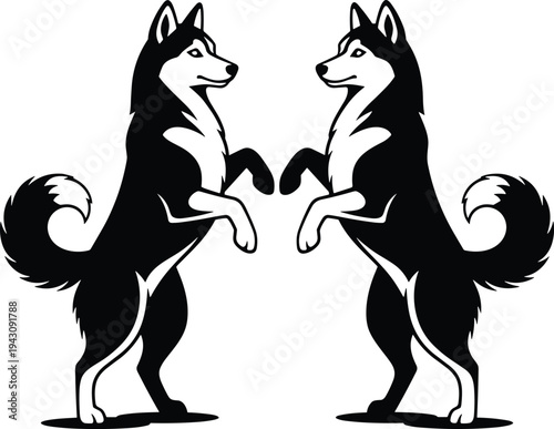Mirrored Siberian husky dogs standing silhouette black and white vector illustration symmetrical canine design decorative animal logo style artwork