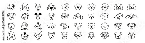 (Adobe Illustrator Artwork)