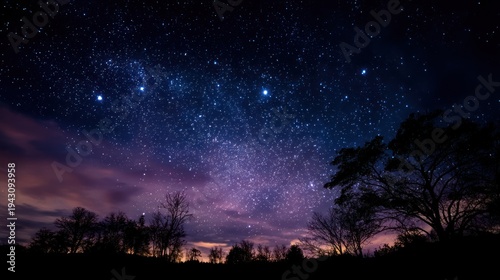 A starry night sky with a silhouette of a tree and a forest in the foreground, with a colorful and dramatic sky filled with stars and clouds.
