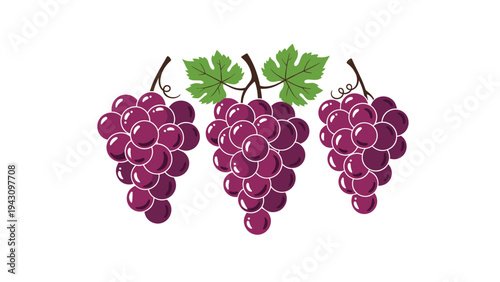 Three lush bunches of purple grapes with green leaves, representing harvest, wine, or healthy fruit snacks in nature.