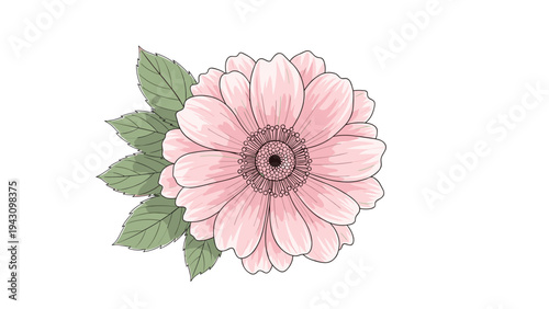 Beautiful pink gerbera daisy flower bloom is shown with several green leaves in a soft and detailed illustration style for floral design.