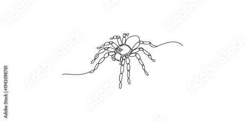 A minimalist line drawing of a large spider with long legs on a white background