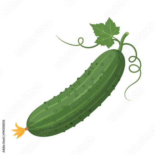Fresh green cucumber with a vibrant leaf and curling tendrils, showcasing its natural texture and a small yellow blossom at one end.
