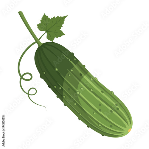 A vibrant green cucumber with a stem, a single leaf, and a curling tendril, depicted on a white background.