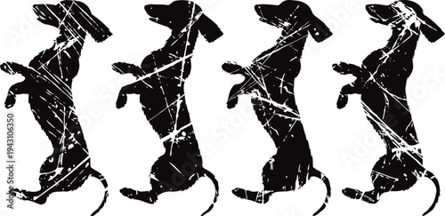 silhouettes of playful dachshund dogs in various standing and jumping poses with distressed texture