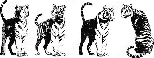 Four black and white artistic tiger silhouettes in different standing and sitting poses