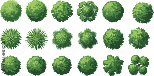 Top view collection of green bushes and shrubs for landscape design isolated on white background, garden plant vector set for map, park and nature illustration