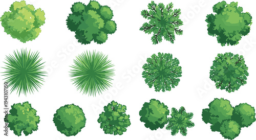 Top view collection of green trees and bushes, diverse foliage shapes for landscape design, map assets, garden planning, game environments, vector style botanical elements