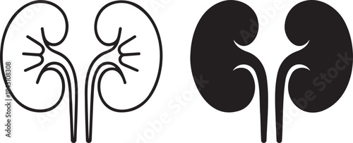 Human kidney silhouette & outline set isolated on transparent background 