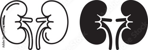 Human kidney silhouette & outline set isolated on transparent background 