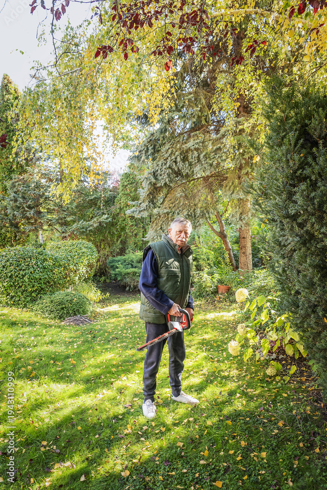Fototapeta premium Active senior man doing yardwork