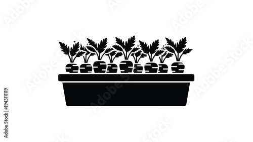 Black silhouette of a group of root vegetables like carrots or radishes growing in a rectangular planter box for farm icons.