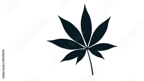Black silhouette of a cannabis sativa or hemp leaf with characteristic jagged edges isolated on a clean white background for design.