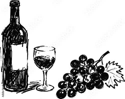 Hand drawn wine bottle, glass, and grape bunch illustration in black ink sketch