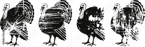 Four black distressed turkey silhouettes with textured vintage grunge effect on white background