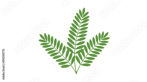 Illustration of three green pinnate leaves joined at a single base point for a symmetrical botanical design element.